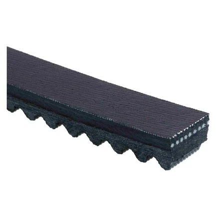 Acdelco T24461 Accesorio Correa de transmisión Foto 1 de 4