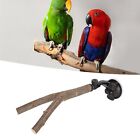 Bird Branch Perch Stand Training Interactive Prevent Slip Wooden Parrot Perch