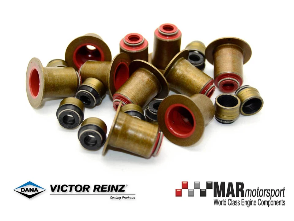 Audi RS3 | TTRS | 2.5 TFSI | DAZA | DNWA | REINZ Valve Stem Seal Set - Image 1 of 1