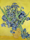 Van Gogh Irises Painting Framed Wall Art Print 12X16 In