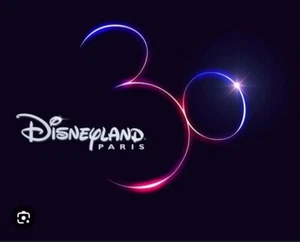 MAGNET / Aimant / Imán BOTTLE OPENER / Décapsuleur PARIS 8 LOGO Disneyland - Picture 1 of 5