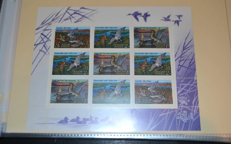 RUSSIA SCOTT #6092A VARIOUS DUCKS MNH SOUVENIR SHEET OF 9 - Image 1 of 1