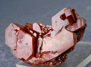 SHARP CANDY RED VANADINITE CRYSTALS FLOWER FORMATION, MOROCCO, GLOBE MINERALS - Picture 1 of 4