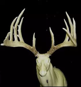 HUGE 220" WHITETAIL ,ANTLER ,DEER ANTLERS TAXIDERMY - Picture 1 of 4
