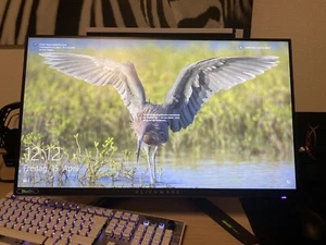 Dell AW2521H 360hz Gaming Monitor (Alienware) - Bild 1 von 4