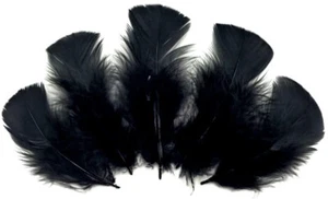 Black Turkey T-Base Plumage Feathers Bridal Corsage Bouquet Decor DIY 20 Pc - Picture 1 of 9