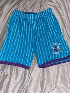 Vtg Starter Charlotte Hornets NBA Basketball Pinstripe Shorts SZ L Teal Pockets - Picture 1 of 11