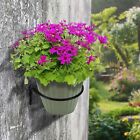 Wallmounted Plant Holder Ring Flower Pot Stand Metal Hook Hanging 2Pcs
