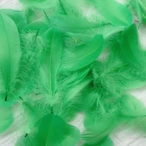 100 pcs Natural Goose Feathers 8-12 Cm Swan Plume DIY Carnival Decoration Craft - Picture 1 of 49