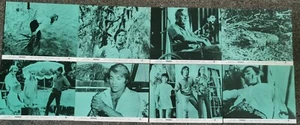 FROGS (1972), FOH Stills 10""x8"", 8er-Set, sehr guter Zustand, Ray Milland, Sam Elliott - Bild 1 von 1