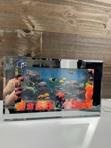 Vintage Fisch bewegter Bild Spiegel Leuchtkasten Wand Ozean Sound - funktioniert! - Bild 1 von 6