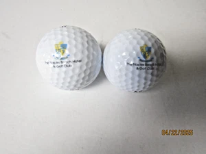 The Naples Beach Hotel & Golf Club (Florida) Logo Golf Ball, set of 2 - Picture 1 of 3