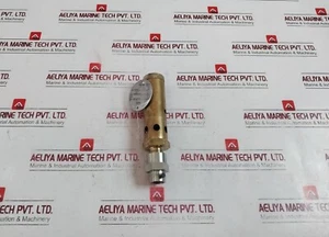 Seetru-Bristol TÜV SV 06 622.96 Sicherheits-Überdruckventil 3,1 MPa - Bild 1 von 8