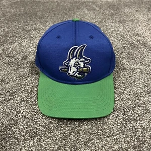 Minor League Baseball Raised Hat Hartford Yard Goats Style Blue Strapback Youth - Picture 1 of 8