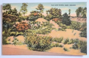 Gary IN Indiana The Sand Dunes Vintage Postcard K1 - Picture 1 of 2