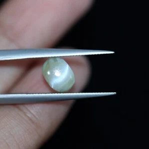 7 x 5 mm Natürlicher Chrysoberyll Katzenauge Loser Edelstein Sri Lanka Abgeba... - Bild 1 von 24