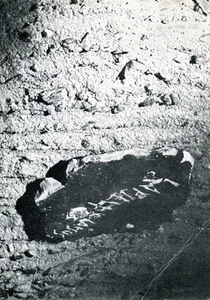 Bruno Ceccobelli - Foto 1 di 1