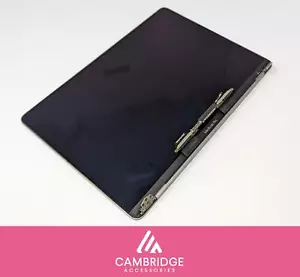 Poor MacBook Pro 13" A1989 A2159 A2251 A2289 LCD Display Assembly Space Grey - Picture 1 of 12