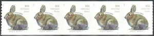 SC#5545 - 2021 20c Brush Rabbit Additional Ounce Coil Strip of 5 MNH - Picture 1 of 1