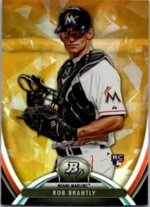 2013 Bowman Platinum - Rob Brantly #50 GOLD (RC) - Picture 1 of 1