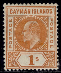 CAYMAN ISLANDS EDVII SG12, 1s orange, M MINT. Cat £32. - Picture 1 of 1