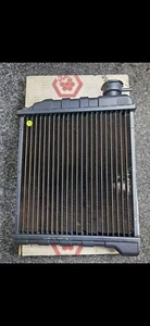 Mini radiador de coche clásico 1959-1996 - Imagen 1 de 6