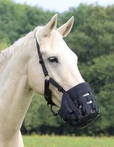 SHIRES GRAZING MUZZLE COMFORT FIT Anti Rub Padding Controlled Feeding Full Size - Picture 1 of 4