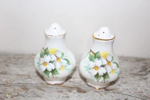 White Dogwood Salt & Pepper Shaker Set - Bone China - Picture 1 of 3