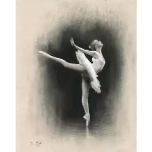 Darren Baker Print "Swan Study Limited Edition of 50 Signed with Certificate - Picture 1 of 1
