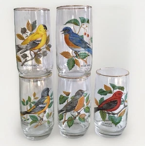 Set of Five Vintage Song Bird Tumblers Excellent Condition - Picture 1 of 10