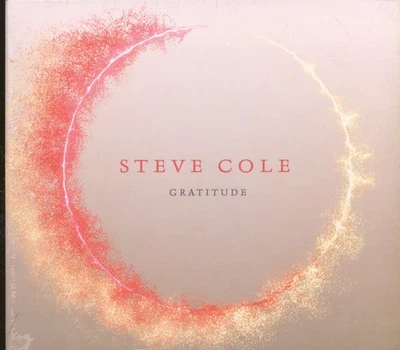 Steve Cole Gratitude CD Artistry Music 2019 in tri-fold digipak. Sealed ART7064 - Bild 1 von 2