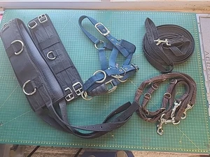 Lunging Joblot, Pony Size Roller, Cavasson, Lunge Rein & Side Reins. (ref.L9) - Picture 1 of 8