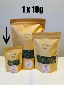 Forage Mix for Guinea Pigs, Rabbits, Hamsters, Degus, and other small animals. - Picture 1 of 1