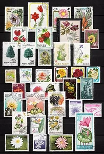 101377/ Blumen und Pflanzen - schönes Lot - o - nichts gerechnet - siehe scan - Picture 1 of 1