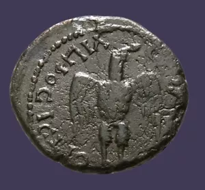 Archaios | Moesia Inferior Nicopolis Commodus / Eagle | RARE | AE | i56.10 - Picture 1 of 3