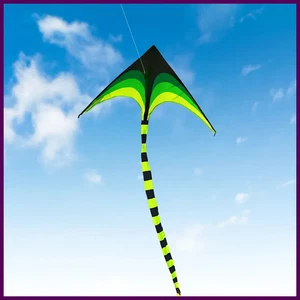 Large Delta Kite with 6m Tail for Kids & Adults Easy to Fly Outdoor Toy Set - Picture 1 of 9