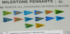 Infant Baby Milestone Monthly Age Pennants Boy Girl Photos First Year 14 Pieces - Picture 1 of 4