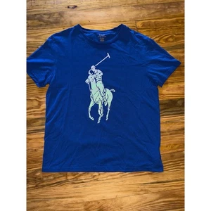 Polo Ralph Lauren Mens Classic Fit Big Pony Blue Graphic T-Shirt M Jersey preppy - Picture 1 of 6