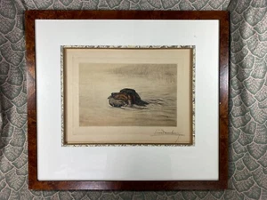 Leon Danchin Setter Hund signiert limitierte Auflage Radierung Druck - Bild 1 von 6