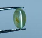 1.56 Ct Natural Green Chrysoberyl Excellent Cat's eye Loose Oval Cab 7x4 mm Gem