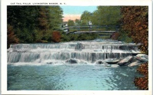 1920s NY Postcard Cat Tail Falls Livingston Manor New York Unposted Waterfall - Picture 1 of 2