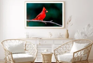 Northern Cardinal Bird On Branch Print Premium Poster High Quality choose size - Picture 1 of 4