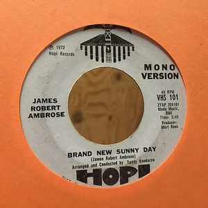 James Robert Ambrose Brand New Sunny Day Hopi Records 101 Promo WLP Nice - Imagen 1 de 2