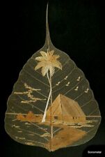 Collage on Skeleton Leaf Framed & Glazed Vintage Folk Rice Straw Art from India