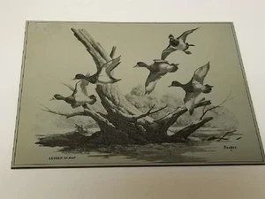 9" X 7" Etched Metal Plate Bluebill Ducks - Picture 1 of 3