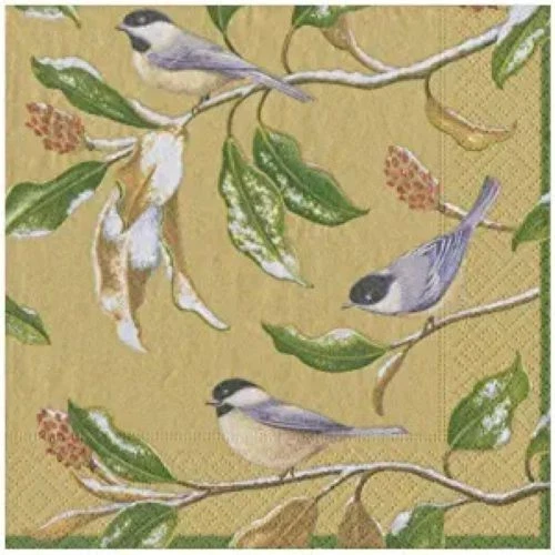 CHICKADEE AND MAGNOLIA Caspari 20 servilletas de almuerzo de papel triple capa de lujo NUEVAS Foto 1 de 1