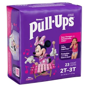 Pull-Ups Learning Designs Girls' Training Pants 2T-3T 23 Ct PK of 23 - Picture 1 of 1