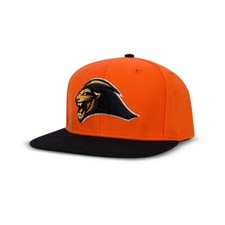 Unilions Snapback cap / hat [Filter017] (Taiwan CPBL)