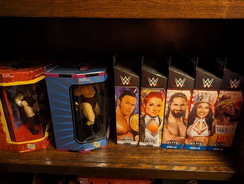 WWE Figure Lot Cover