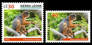 SIERRA LEONE 2025 SET 2V - MONKEY MONKEYS APES SINGES AFFEN PRIMATES- MNH - Picture 1 of 1